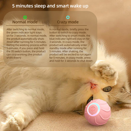 Pelota Interactiva Automática con Salto para Gatos - Juguete Eléctrico de Entrenamiento - Image 14