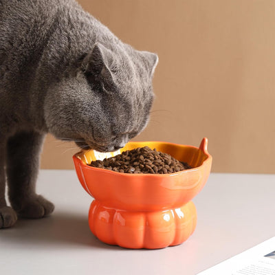 Comedero Elevado de Cerámica para Gatos - Diseño Ergonómico Anti-Vómito Rosa - Image 9