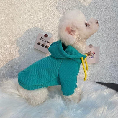 Suéter Elegante para Mascotas - Diseño Celebridad Internet - Image 9