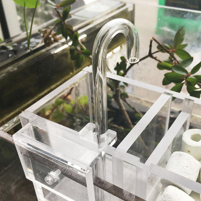 Caja Filtro Húmedo Separador para Acuarios - Image 4