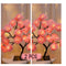 Rosa Rosa 2 Piezas 24 Luces En Negro USB