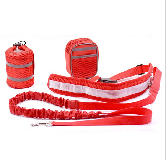 Correa Ajustable Manos Libres para Perros - Image 12