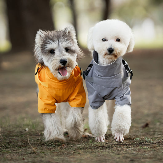 Impermeable para Perros Pequeños y Medianos con Arnés Integrado - Image 2