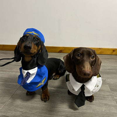 Disfraz Halloween para Perros Salchicha - Traje Divertido y Cómodo - Image 12