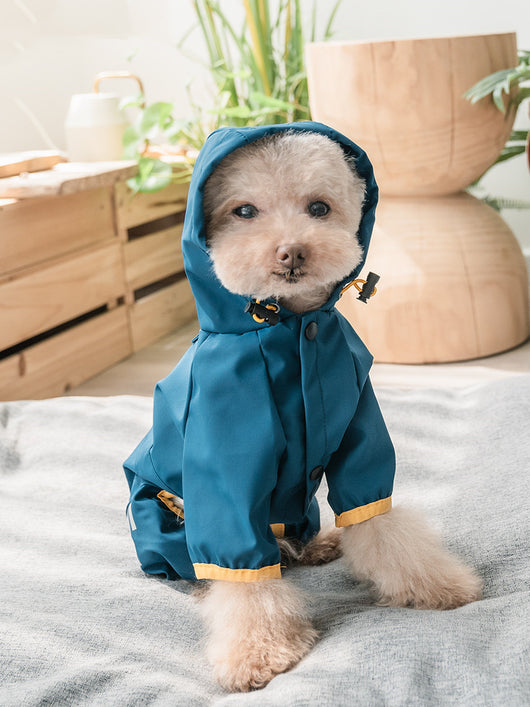 Poncho para Perro Teddy Schnauzer Bichon - Image 3