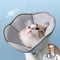 Collar Isabelino para Gatos - Protección Anti-arañazos