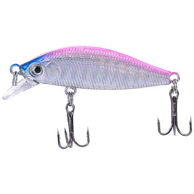 Carnada Viva para Pesca de Agua Dulce - Cucaracha Bass - Image 3