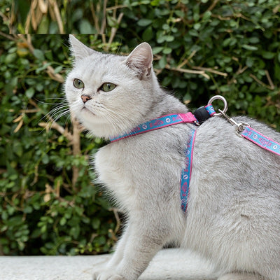 Arnés con Campana y Correa para Gato, Perro Pequeño y Teddy - Image 9