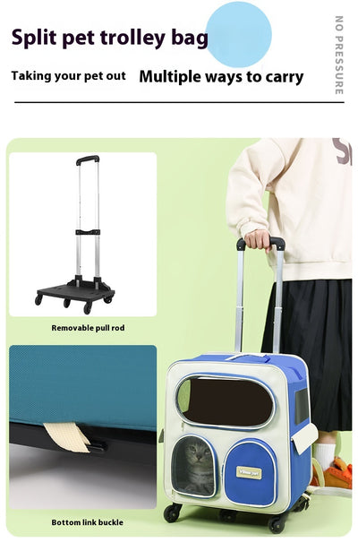 Bolsa de Transporte Plegable para Mascotas - Image 10