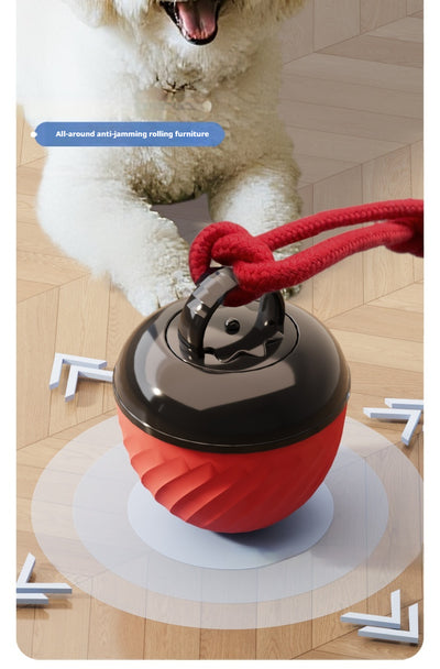 Pelota Masticable Inteligente para Perros - Juguete Resistente y Calmante - Image 10