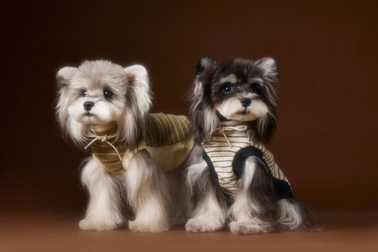 Suéter Tejido sin Mangas para Perros Pequeños Bichón Maltés York - Image 6