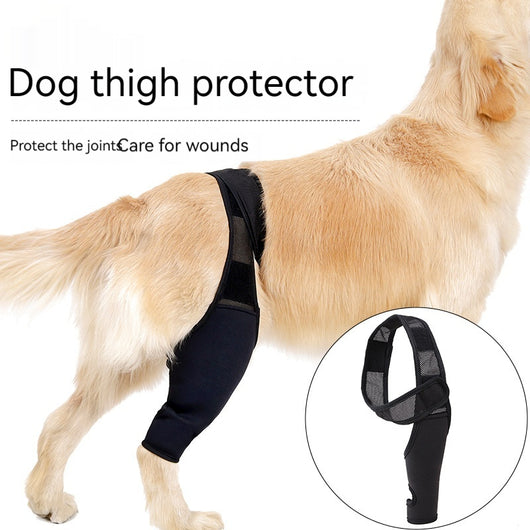 Rodillera Protectora para Perros - Soporte Articular y Recuperación Postoperatoria - Image 2
