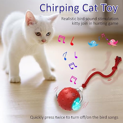 Red interactive cat toy ball with a clear outer shell, glowing blue light, and a red rope, shown with a kitten. - Image 5