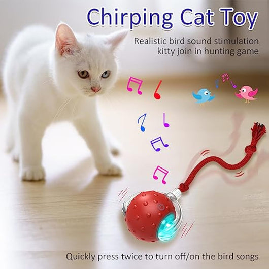 Red interactive cat toy ball with a clear outer shell, glowing blue light, and a red rope, shown with a kitten. - Image 5