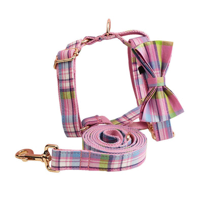 Collar y Correa de Tracción para Perros Qicaigei - Image 15