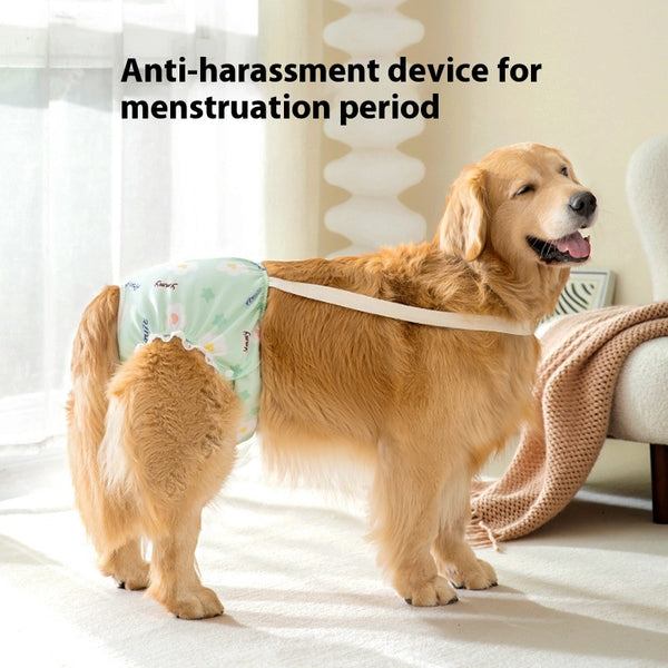 Pantaletas Menstruales Absorbentes Big Dog - Protección Cómoda Todo el Día