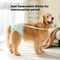 Pantaletas Menstruales Absorbentes Big Dog - Protección Cómoda Todo el Día