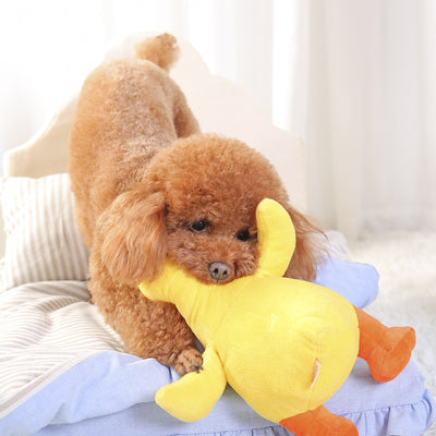 Brown poodle dog sleeping soundly, cuddling a yellow plush duck toy with orange beak and feet on a striped pillow. - Image 7