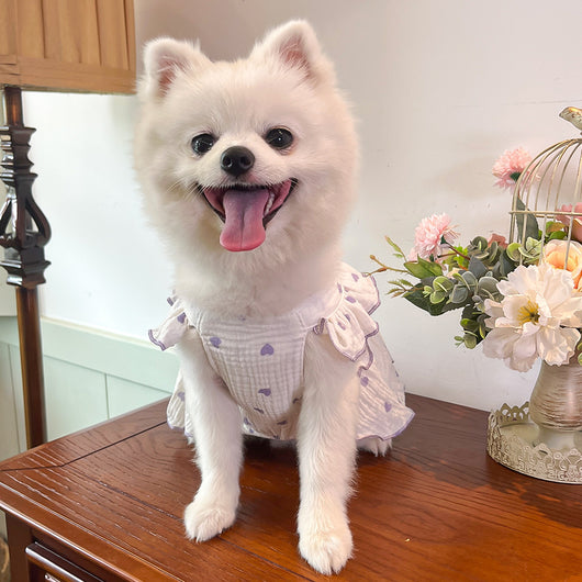 Vestido Floral de Algodón Pet Love - Image 21