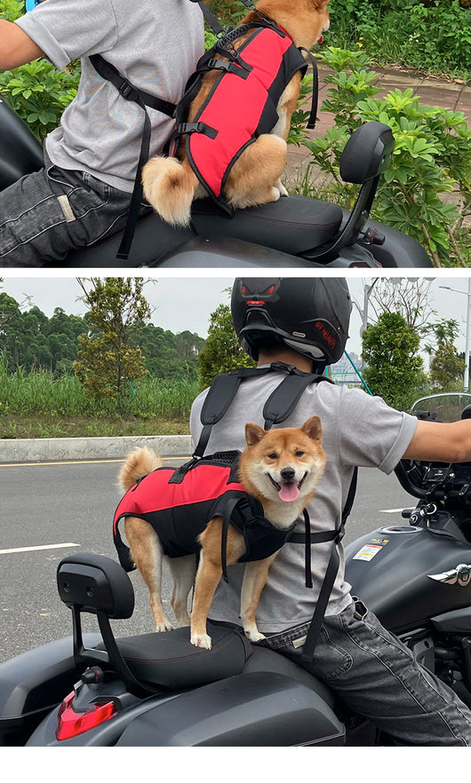 Mochila Transportadora Aérea para Mascotas - Paseos y Aventuras - Image 14