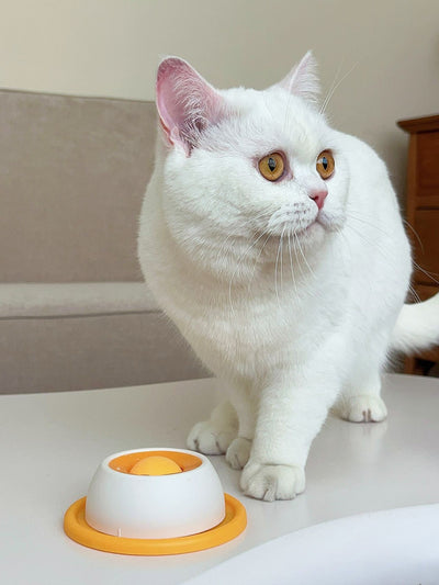 Juguete Comedero Antiderrame para Gatos - Dispensador de Premios Resistente - Image 17