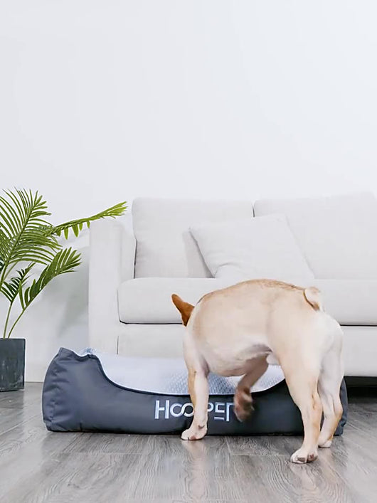 Cama Ortopédica para Perros y Gatos con Funda Removible - Nido Suave para Mascotas Pequeñas y Medianas - Image 7