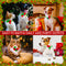 Moño Navideño para Perros y Gatos - Adorno Festivo