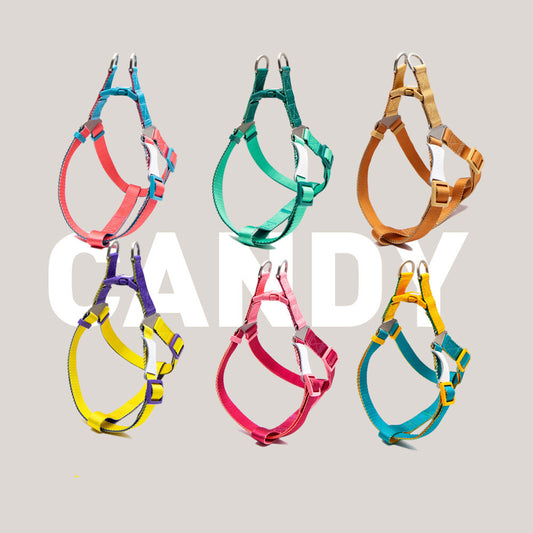 Collar Pectoral y Dorsal con Cuerda de Agarre y Contraste de Colores