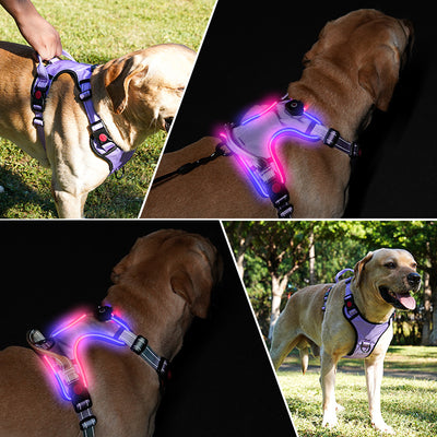 Arnés Luminoso LED Recargable para Mascotas - Image 2