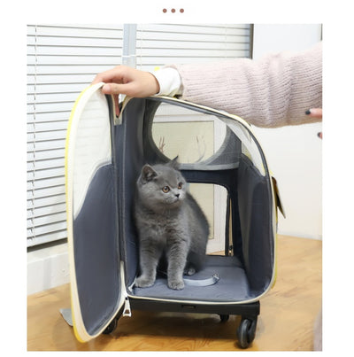 Mochila Transportadora para Mascotas - Bolsa Ventilada de Gran Capacidad - Image 23