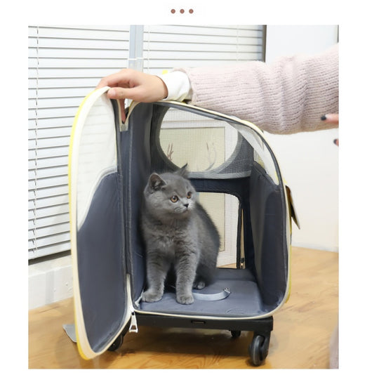 Mochila Transportadora para Mascotas - Bolsa Ventilada de Gran Capacidad - Image 23