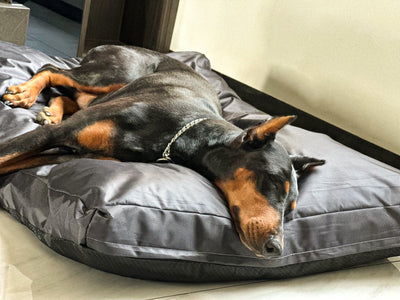 Cama Ortopédica para Mascotas con Espuma Resistente y Base Antideslizante - Image 3