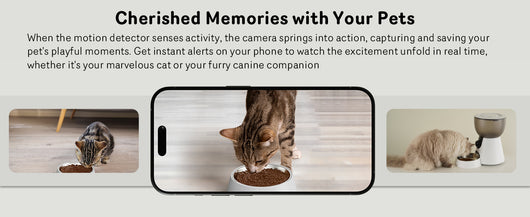 Comedero Automático para Gatos con Cámara 1080P, Visión Nocturna y WiFi 5G - Image 15