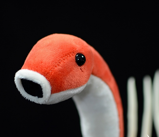 Muñeco Peluche Insecto Prehistórico Realista - Colección Paleontología - Image 10
