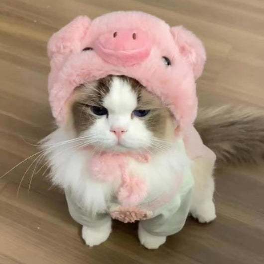 Gorro Felino de Moda: Expresa tu Personalidad y Creatividad - Image 14