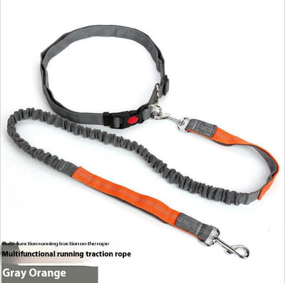 Correa Reflectante para Perros con Elástico - Ideal para Correr de Noche - Image 19