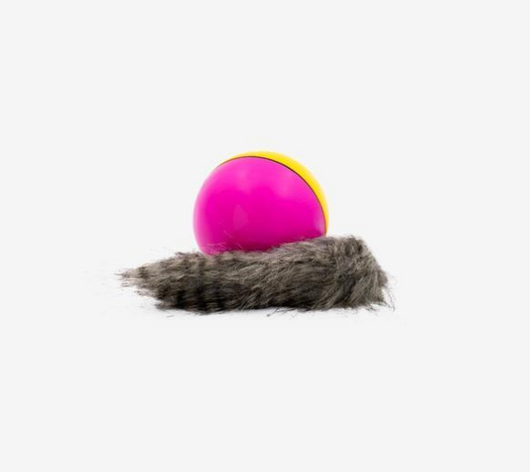 Green and pink two-tone ball with a furry gray beaver-like pet toy on a white background. - Image 3
