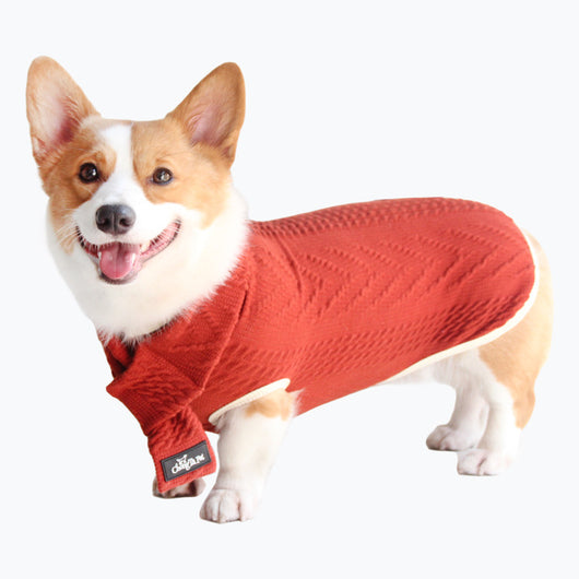Suéter para Perro Vintage Chic - Abrigo Cálido y Elegante - Image 11