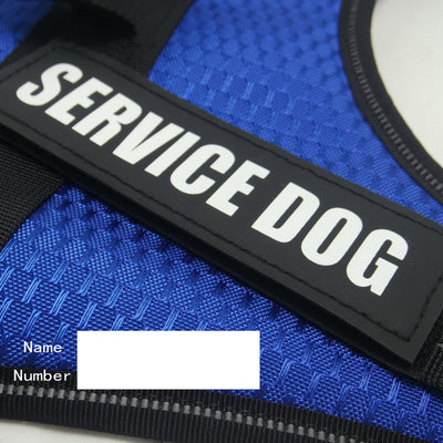 Arnés Personalizado para Mascotas - Image 17