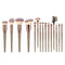 Set de 15 Brochas de Maquillaje Profesional con Aplicadores para Sombra