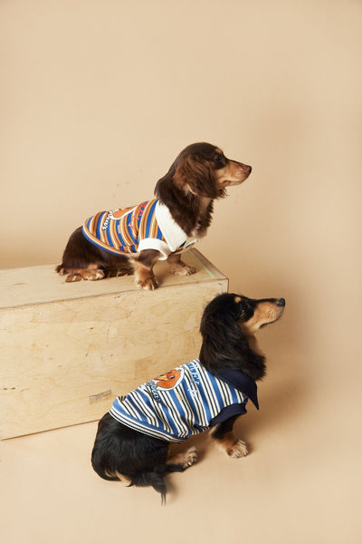Polo Rayado para Perros Tony Bear - Ropa Cómoda y Elegante - Image 29
