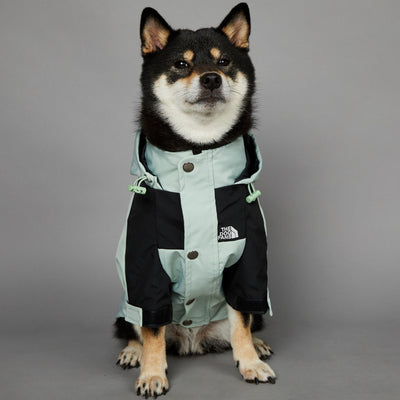 Impermeable para Perros Grandes Resistente al Viento y la Lluvia - Image 2