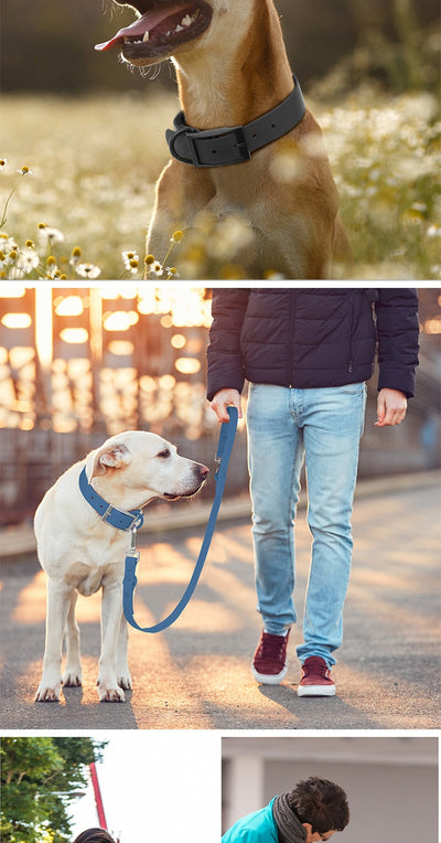 Collar Impermeable para Perros y Gatos Anti-Estrangulación - Image 15