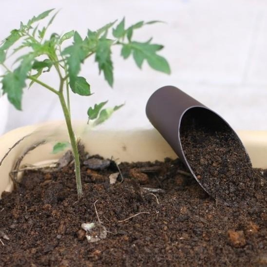 Pala Shovel para Plantas Suculentas y Macetas