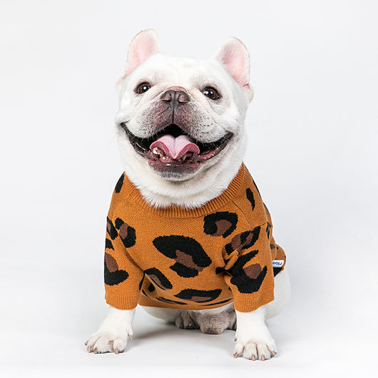 Ropa Protectora para Perros y Gatos - Método Fighting Bichon - Image 3