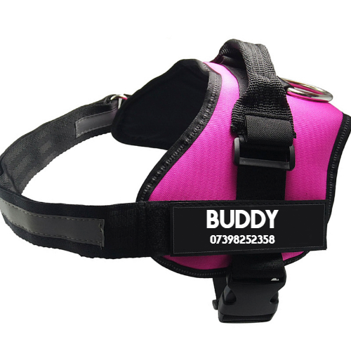 BUDDY - Tu Compañero Inteligente