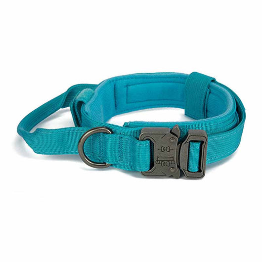 Collar de Tracción para Mascotas de Color Sólido - Image 17