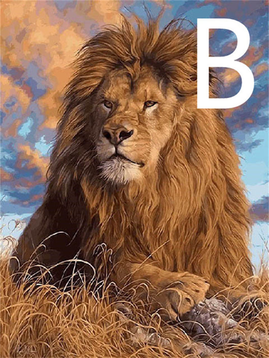 Pintura de Diamantes 5D - Bordado de León Animal - Image 5