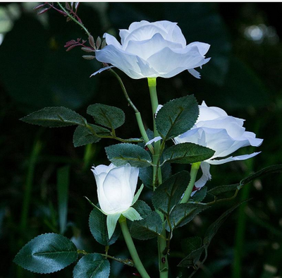 Linterna Romántica con Rosas Blancas y 3 Luces LED