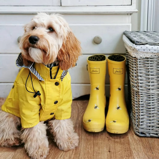Impermeable para Perros - Abrigo Protector Contra Lluvia - Image 28